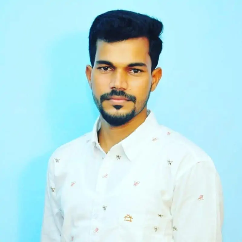 Jelestin Raj - Team Member - Digital Marketing Executive